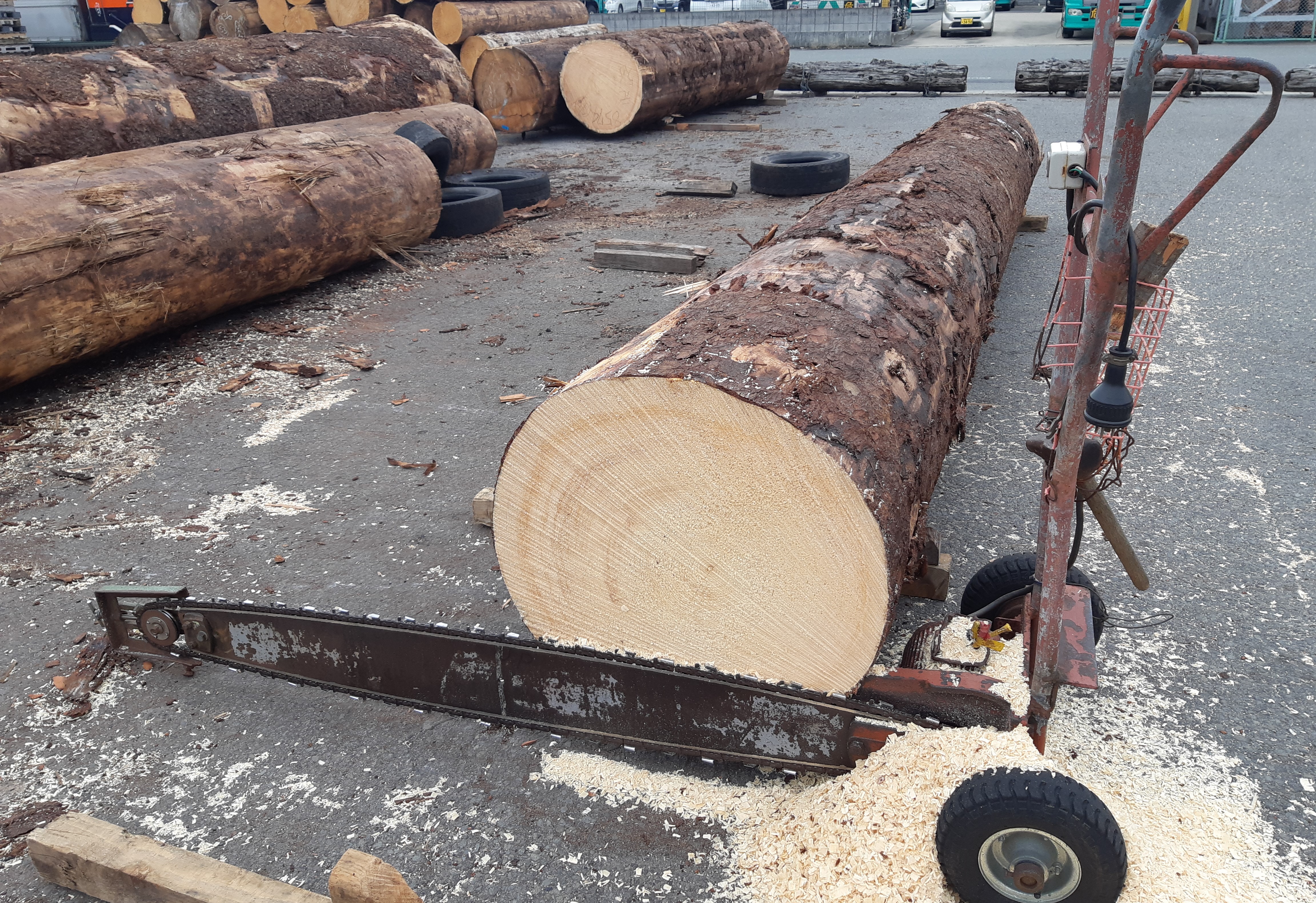 �܂邽����